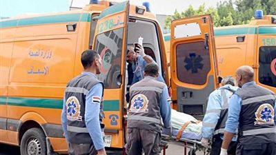 وفاة طالبة بالطب البيطرى إثر سقوط نخلة عليها بالشرقية