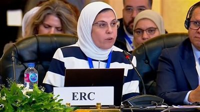 المدير التنفيذي للهلال الأحمر المصري: يجب ضمان تدفق المساعدات إلى قطاع غزة دون توقف