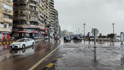تداول 173الف طن بضائع و3197 حاوية بميناء الاسكندرية