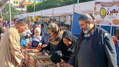 قطار سوق اليوم الواحد يصل حى العجمى البيطاش