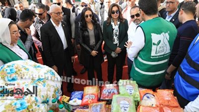 وزيرة التنمية المحلية تتفقد المدينة الشبابية بالعريش