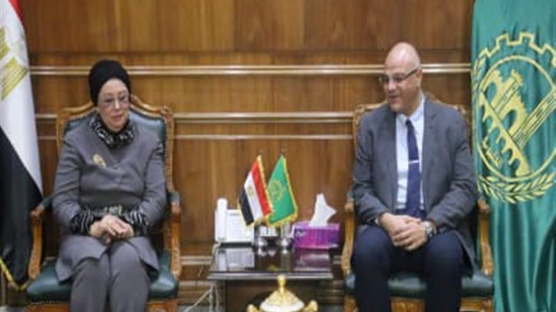 المهندس أيمن عطية