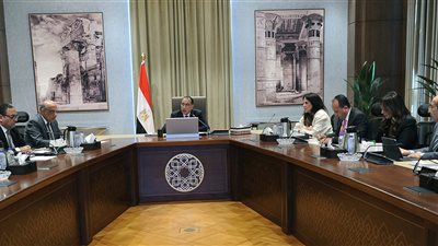 مدبولي يتابع إجراءات طرح محطة جبل الزيت لتوليد الكهرباء من الرياح