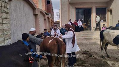 قافلة تنموية شاملة بقرية ششت الأنعام بإيتاي البارود