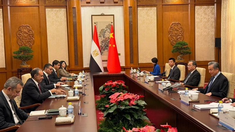 الدكتور بدر عبد العاطي