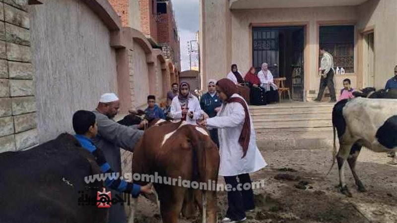 بوابة الجمهورية