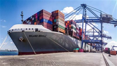 ٥٤ ألف طن بضائع وتصدير ١٣٥٥ حاوية خضار وفاكهة من ميناء دمياط