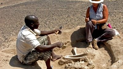 دراسة توضح الجانب المظلم للسلوك الإنساني في عصور ما قبل التاريخ
