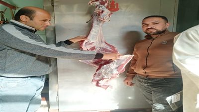ضبط 2 طن سلع وموادغذائية وتحرير226محضرفي حملات تموينية بالدقهلية