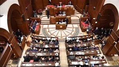 مجلس الشيوخ يوافق على قانون المسئولية الطبية وحماية المريض مبدئيا