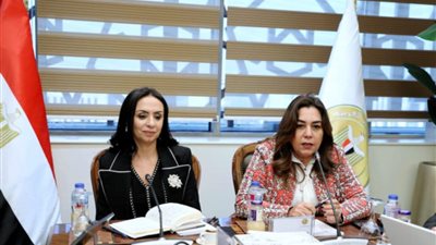 التنمية المحلية: التنسيق مع الجمعيات الأهلية لرفع كفاءة منازل الأولي بالرعاية