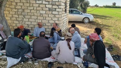 تنفيذ يوم حقل خاص بمحصول القمح بمديرية الزراعة