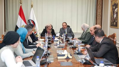 مُباحثات بين وزيري قطاع الأعمال والبيئة لتطوير السياحة البيئية في مصر
