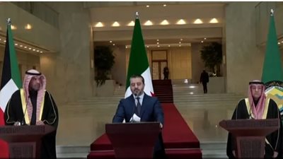 وفد مجلس التعاون الخليجي يؤكد على دعم سوريا
