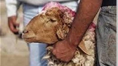 ماذا تعرف عن العتيرة الرجبية وما حُكمها