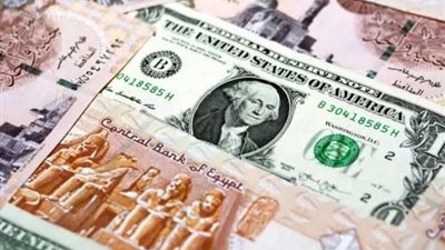 الدولار يتراجع 6 قروش أمام الجنيه في البنوك المصرية