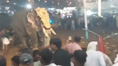 فيل يهاجم حشدا من الناس أثناء مهرجان في الهند.. بالفيديو