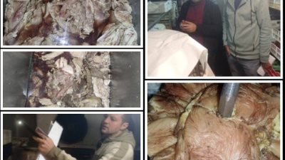 اغذية القليوبية توصي بغلق مطعم وتضبط 400 كجم شاورما مجهولة المصدر