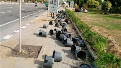 رئيس جهاز بدر يكشف عن زراعة 6 ألآف عود زهور فى المدينة.. بالصور