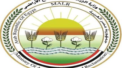 الزراعة تنفى وقف تنفيذ مشروع الاستزراع السمكى شرق التفريعة