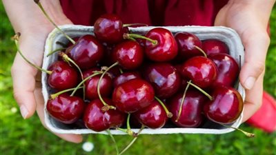 تعرف على فوائد الكريز لمرضى السكر