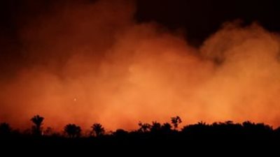 وزيرة فرنسية تطالب بإنشاء صندوق دولى لمكافحة حرائق الغابات