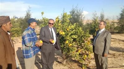 بحوث الصحراء يساهم فى تطوير الزراعة الحديثة فى الصحارى المصرية بسيناء
