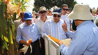 وزير الزراعة يتفقد البرامج القومية للأصناف الجديدة من المحاصيل بمحطة بحوث سخا