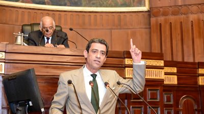 النائب مصطفى الجندى : زيارة سامح شكرى للسودان ناجحة وحققت جميع أهدافها لصالح القاهرة والخرطوم