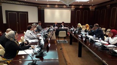 لدعم سياسات تنمية الطفولة المبكرة في مصر: لقاء تنسيقي مشترك بين المجلسين القومي والعربي للطفولة واليونيسف