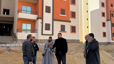 الشربيني: 