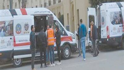 الشرطة المصرية 