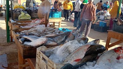 الوادى الجديد تفيض بالخير فى ملتقي السوق الواحد لدعم المواطنين