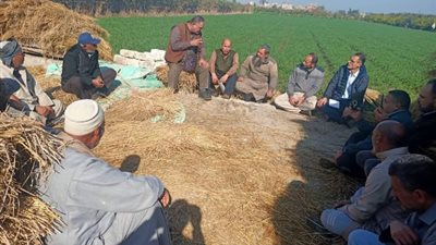 البحوث الزراعية: نشاط إرشادى مكثف خلال النصف الأول من شهر يناير