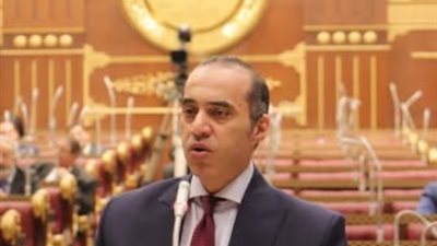 مناقشة عامة بالشيوخ حول تعظيم الاستفادة من المجال الجوي ودعم الطيران