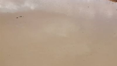 امطار غزيرة علي مطروح والمحافظ يعلن حالة التأهب القصوي