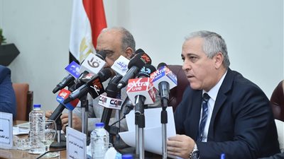 الشوربجي: قطاع الكهرباء والطاقة المتجددة شهد طفرة غير مسبوقة في عهد الرئيس السيسي