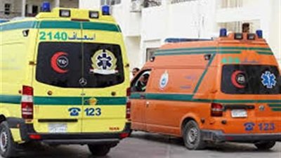 أصابة 15 شخص فى تصادم تريلا وميكروباص بالطريق الصحراوى باسوان