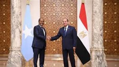 كاتب: لقاءات القمة بين السيسي ونظيره الصومالي تعكس تطور العلاقات