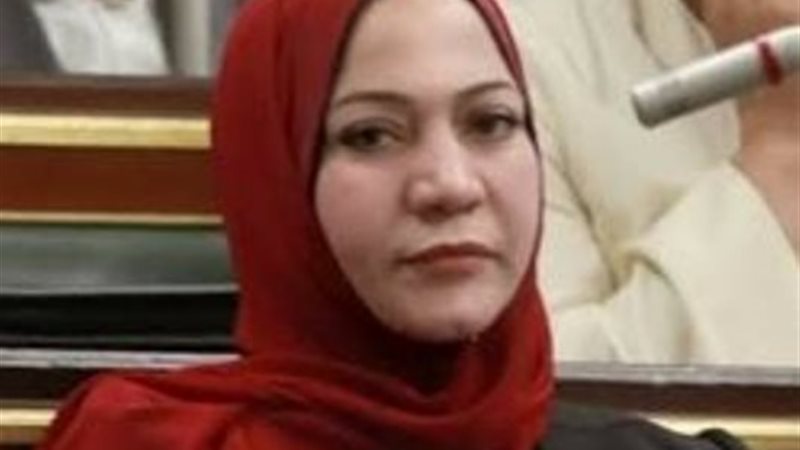 النائبة صفاء جابر