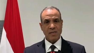 وزير الخارجية: مصر تحقق إنجازات ملحوظة في حقوق الإنسان