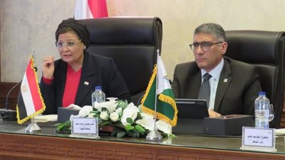 نائب وزير الصحة تشيد بجهود محافظة الجيزة في الملف السكاني