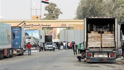 إدخال 200 شاحنة مساعدات إنسانية للفلسطينيين بقطاع غزة