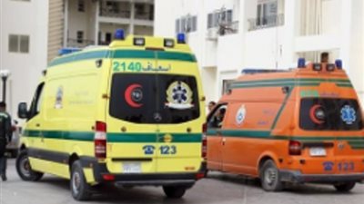 إصابة 9 بالاختناق إثر تسريب غاز داخل منازلهم بأبو حمص وكفر الدوار