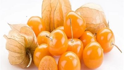 يحسن المزاج .. أهم فوائد الحرنكش