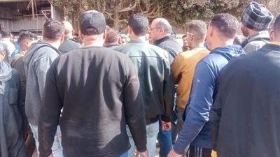 جهاز بدر يضرب بيد من حديد على المخالفات بالتعاون مع شرطة المرافق.. صور