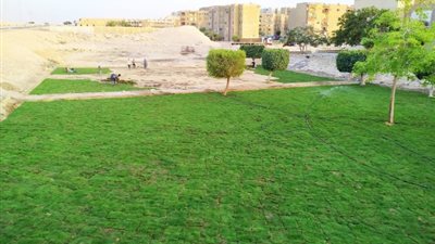 رئيس جهاز 15 مايو يكشف عن أكبر مشروع زراعة فى تاريخ المدينة.. بالأرقام