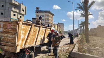 حملات للنظافة وصيانة أعمدة الإنارة بمدن دمياط