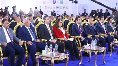 بدعم القيادة السياسية.. أكبر قافلة مساعدات من أهالى الوادى الجديد لـ غزة
