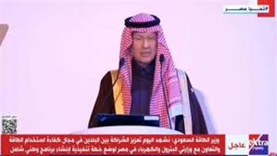 وزير الطاقة السعودي: 46 مليار ريال حجم الصادرات المتبادلة مع مصر
